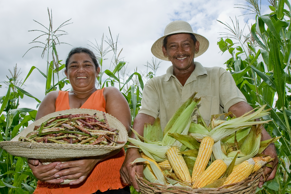 MDA facilita obtenção do Cadastro Nacional da Agricultura Familiar